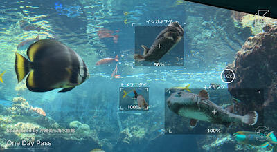 IMG_2025-10-17-214926.jpg