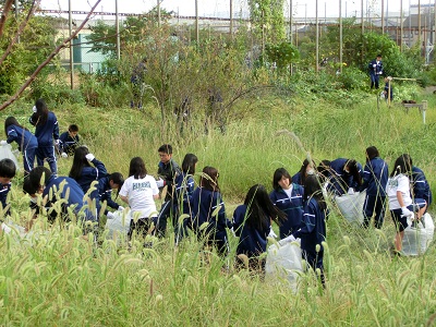 46.１年生除草 (1).jpg