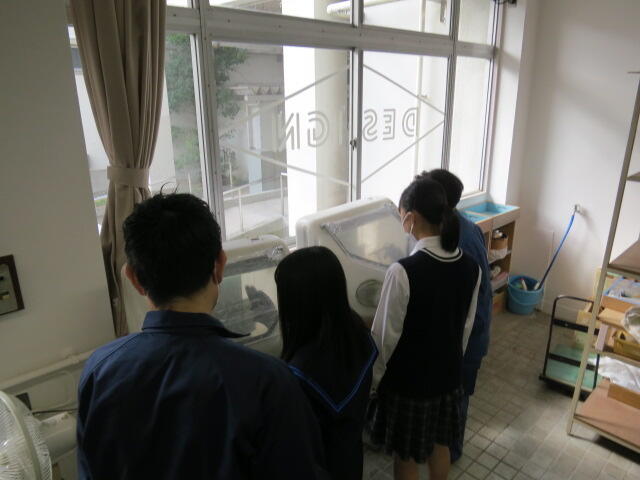 021_学校説明会  (16).JPG