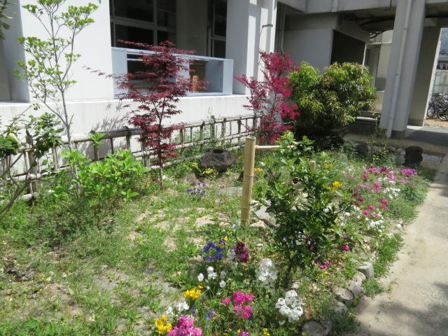 中庭 (2).JPG