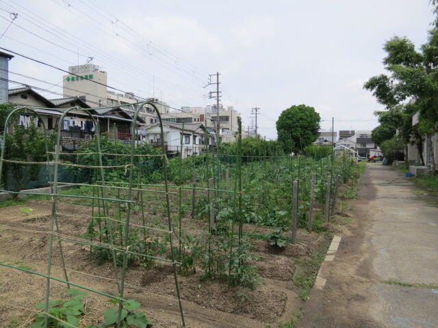 農場0610 (2).JPG