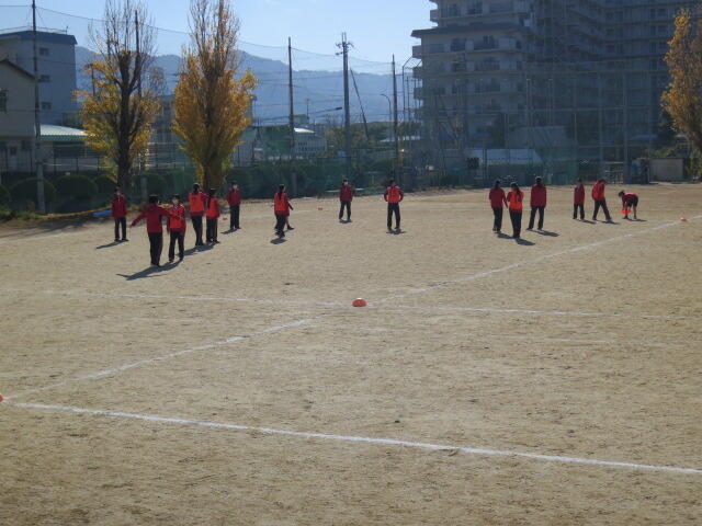 ソフトボール (1).JPG