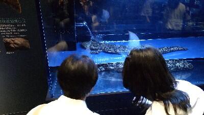 DSC_0149_copy_400x225.jpg