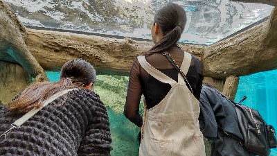 DSC_0152_copy_400x225.jpg