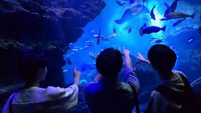 DSC_0170_copy_400x225.jpg
