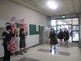 IMG_0873.JPG