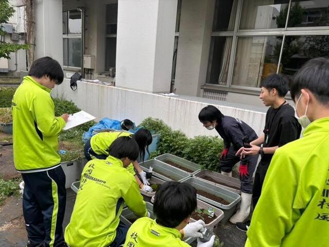 IMG_20250423_171739_740.jpg