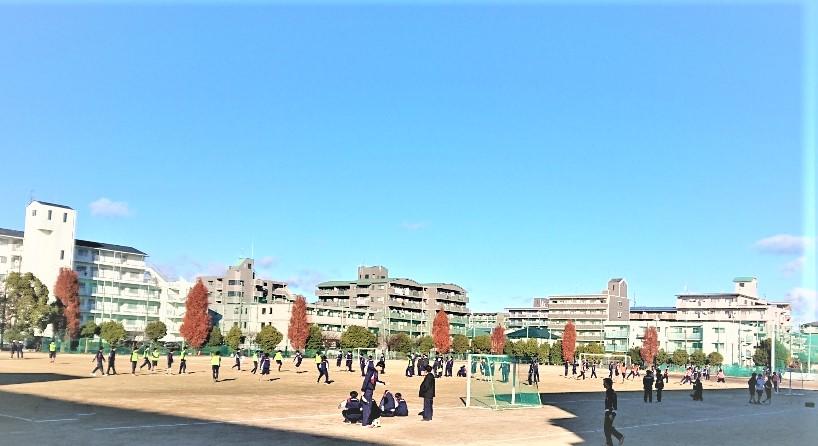 DSC_1037.jpg