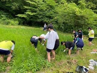 IMG_6361.jpeg