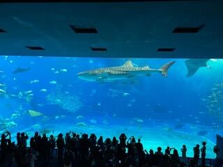IMG_4692.jpeg
