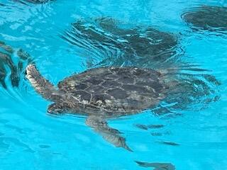 IMG_4707.jpeg