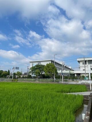 IMG_6596.jpeg