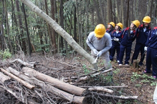 里山保全実習４.JPG