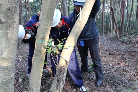 里山保全実習６.JPG