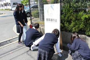260511クリーン作戦5.JPG