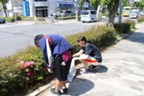 260511クリーン作戦6.JPG