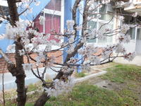 DSCF2723.JPG