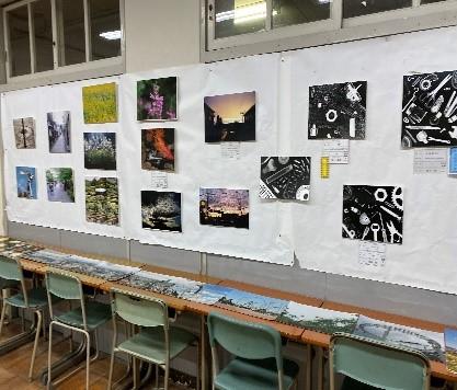 7b.jpg