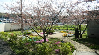 garden.jpg