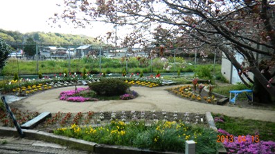 garden2.jpg