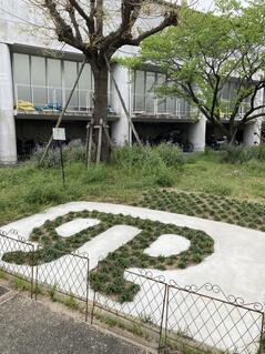 240416【写真】授業の風景②（２年「まちづくり」、茨高探険Feel度Walk） (6).JPEGのサムネイル画像