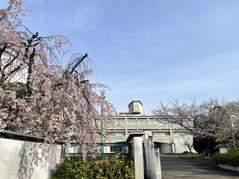 250408【写真】第80回入学式 (1).JPGのサムネイル画像