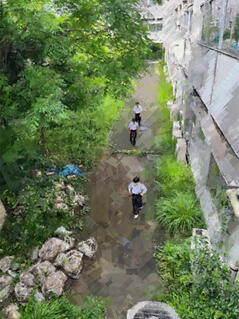 250616【写真】授業の風景38（１年「家庭基礎」、校内Feel度Walk） (1).JPGのサムネイル画像