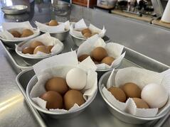 250604【写真】授業の風景27（２年「生活科学」、親子丼、小松菜のお浸し、豆腐とわかめのすまし汁） (1).JPGのサムネイル画像