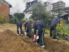 251023【写真】授業の風景70（２年「まちづくり」、宙いもプロジェクト（宙いもの収 (4).JPGのサムネイル画像