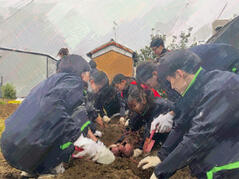 251023【写真】授業の風景70（２年「まちづくり」、宙いもプロジェクト（宙いもの収 (7).JPGのサムネイル画像