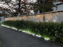 251125【写真】授業の風景82（２年「まちづくり」、いばらきイルミフェスタ灯イルミネーション飾りつけ） (4).JPGのサムネイル画像