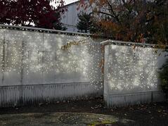 251125【写真】授業の風景82（２年「まちづくり」、いばらきイルミフェスタ灯イルミネーション飾りつけ） (5).JPGのサムネイル画像