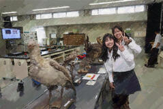 251106【写真】文化祭報告③（部・同好会・サークル、門・看板①） (14).JPGのサムネイル画像