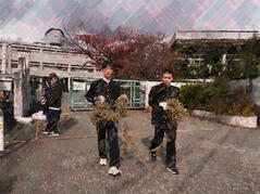 251125【写真】授業の風景82（２年「まちづくり」、いばらきイルミフェスタ灯イルミネーション飾りつけ） (1).JPGのサムネイル画像