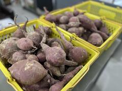 251215【ブログ】（コメント）授業の風景85（２年「まちづくり」、宙いも弁当） (1).jpgのサムネイル画像