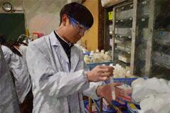 260209【写真】授業の風景95（２年「化学特講」、実験（フェノール、サリチル酸とその誘導体）） (5).JPGのサムネイル画像