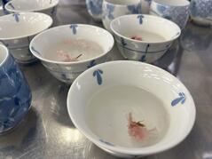 260420【写真】授業の風景③（３年「生活文化」、オリエンテーション（だし汁と味噌のテイスティング）） (1).JPGのサムネイル画像