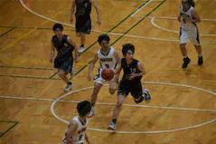 250504【写真】男子バスケットボール部（第80回大阪高等学校総合体育大会（vs阪南）） (6).JPGのサムネイル画像