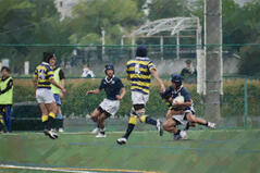 250608【写真】ラグビー部（第12回全国高等学校7人制大会大阪府予選） (4).JPGのサムネイル画像