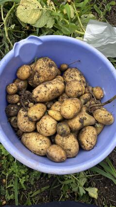 251105~3.jpgのサムネイル画像