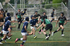 260613【写真】ラグビー部活動報告（第13回全国高等学校７人制大会大阪府予選（vs東住吉高校、vs興国高校）） (2).JPGのサムネイル画像