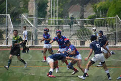 260613【写真】ラグビー部活動報告（第13回全国高等学校７人制大会大阪府予選（vs東住吉高校、vs興国高校）） (8).JPGのサムネイル画像
