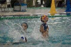 260622【写真】水泳部活動報告（男子決勝　大阪高校藏合体育大会水泳競技大会、大阪高校選手権水泳競技大会、近畿高校予選会） (9).jpgのサムネイル画像