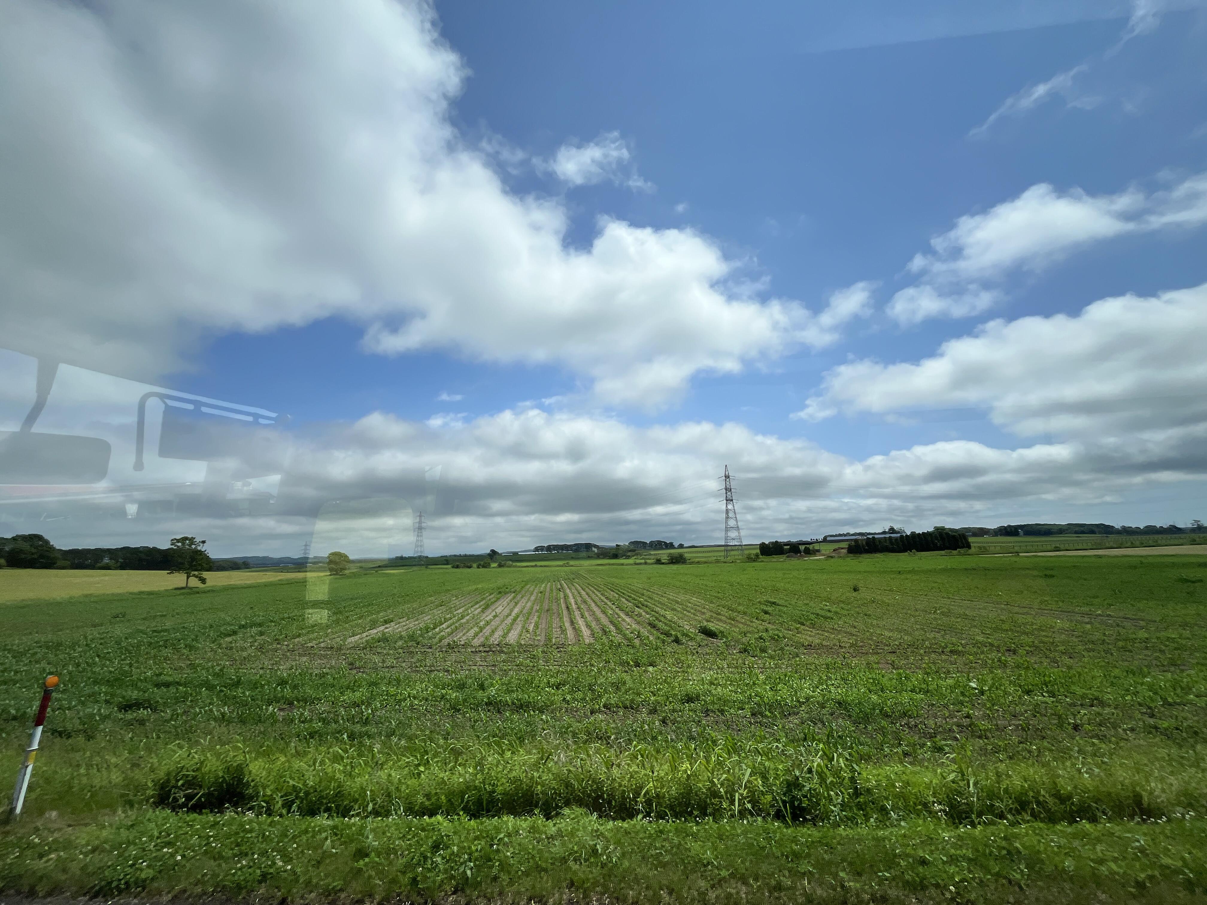 IMG_1891.jpeg