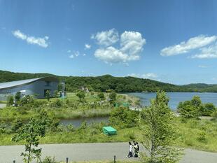 IMG_9902.jpeg