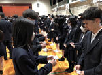 IMG-9528.jpg