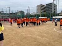 IMG-9787.JPG