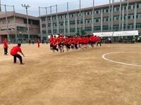 IMG-9788.JPG