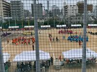 IMG-9818.jpg