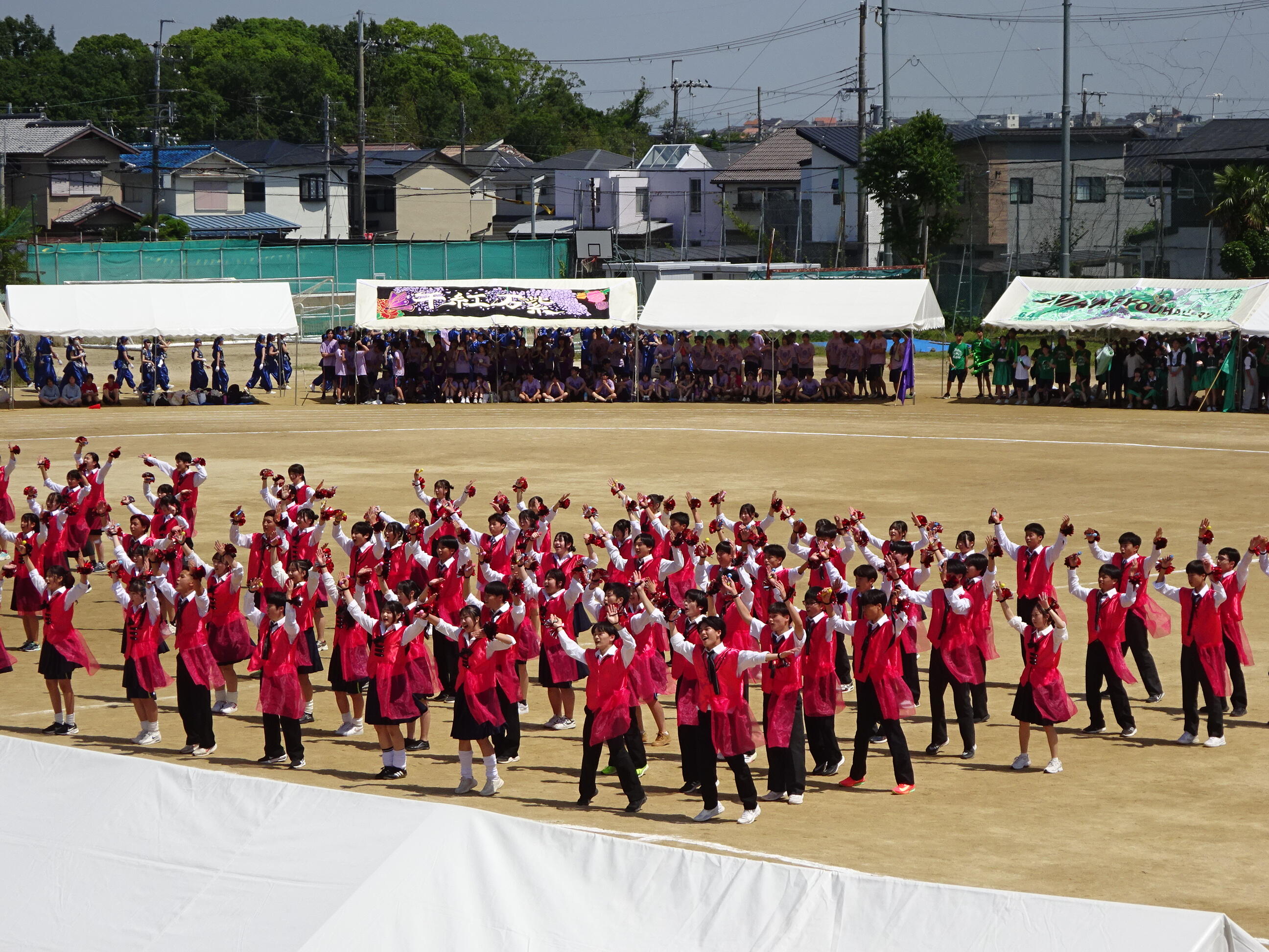 DSC07103.JPG